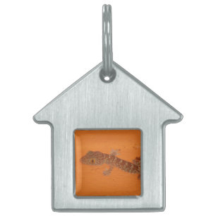 Baby Tokay Gecko Pet ID Tag
