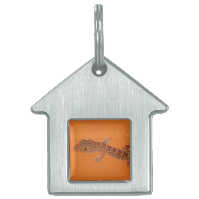 Baby Tokay Gecko Pet ID Tag (Front)