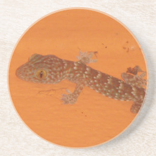 Baby Tokay Gecko Sandstone Coaster