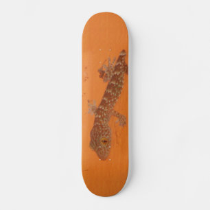 Baby Tokay Gecko Skateboard