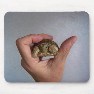 Baby Tortoise Mousepad