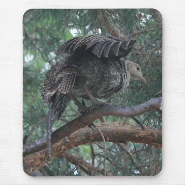Baby Turkey Mousepad (Front)