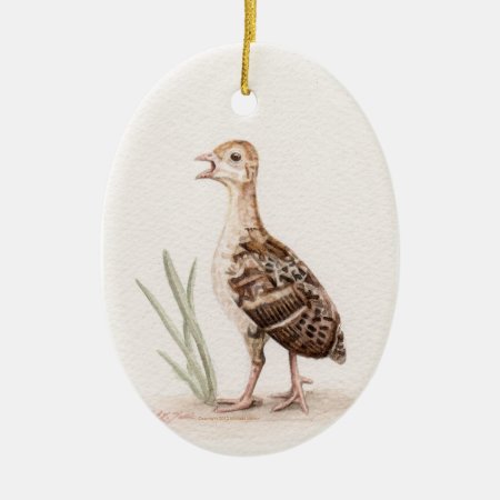 Baby Turkey Ornament