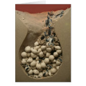 Baby Turtle Eggs Hatching (Front)