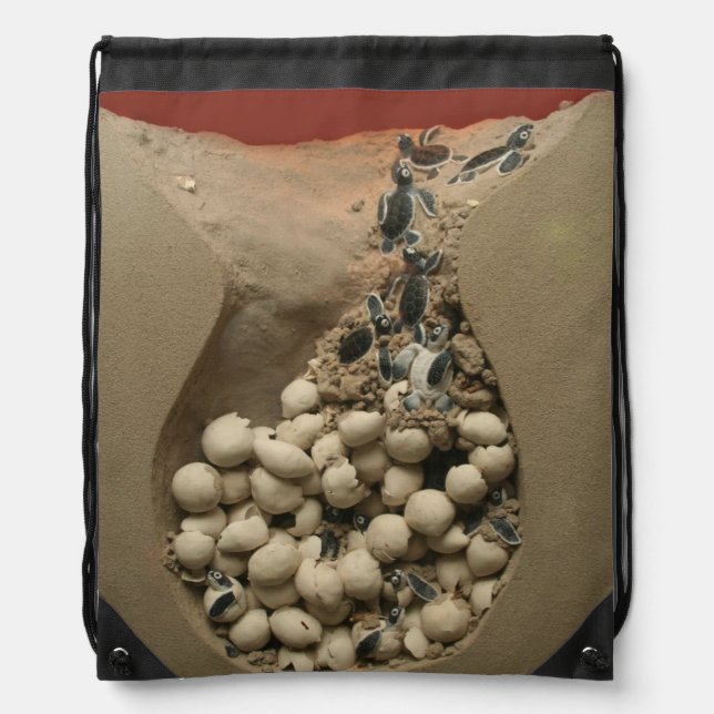 Baby Turtle Eggs Hatching Drawstring Bag (Front)