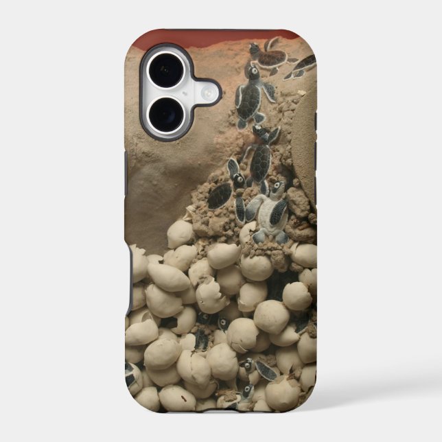 Baby Turtle Eggs Hatching Iphone Case (Back)