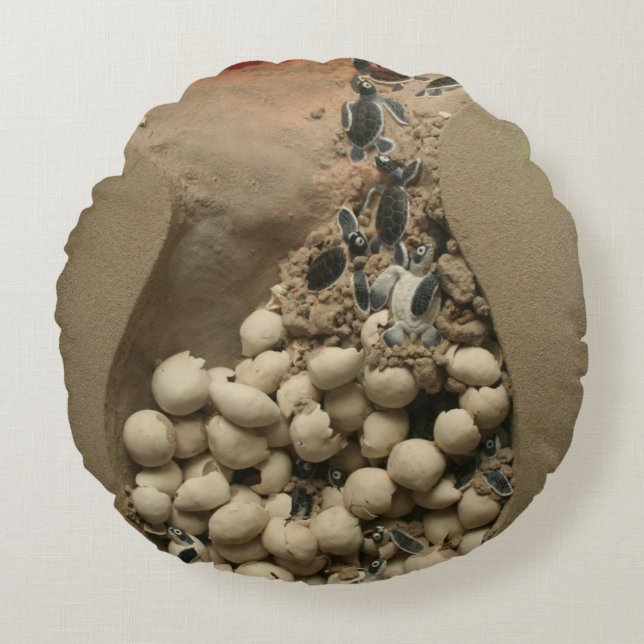 Baby Turtle Eggs Hatching Round Pillow (Front)
