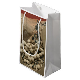 Baby Turtle Eggs Hatching Small Gift Bag