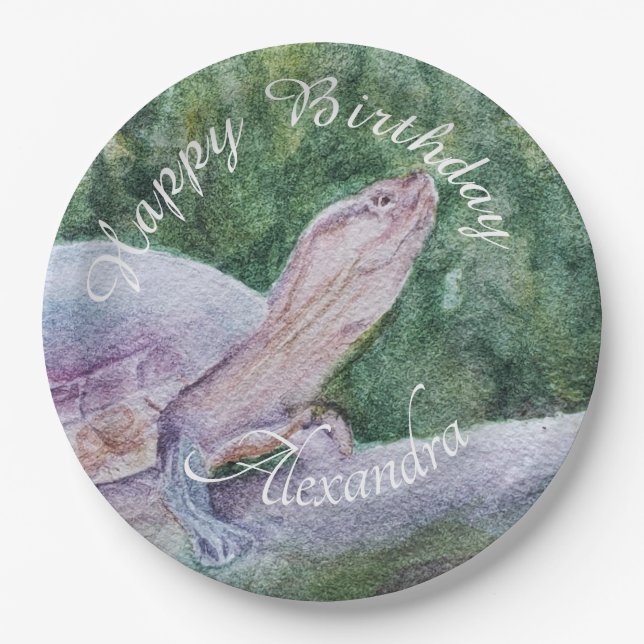 Baby Turtle Happy Birthday Paper Plates (Front)