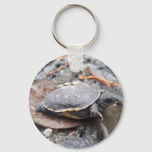 baby turtle keychain (Front)