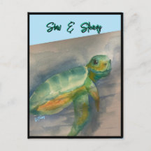 Baby Turtle Post Card