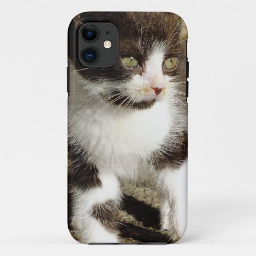 Baby Tuxedo Kitten _ Cat iPhone 5 Case