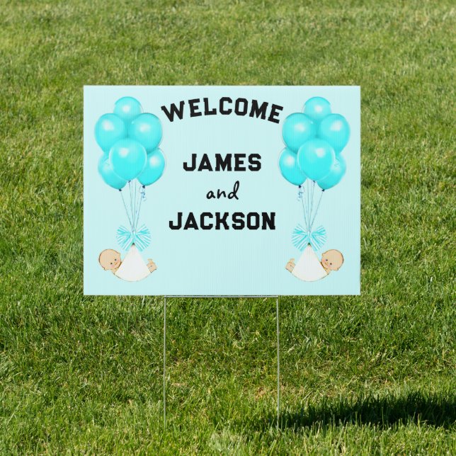 Baby Twin Boys Welcome Announcement Sign (Insitu)