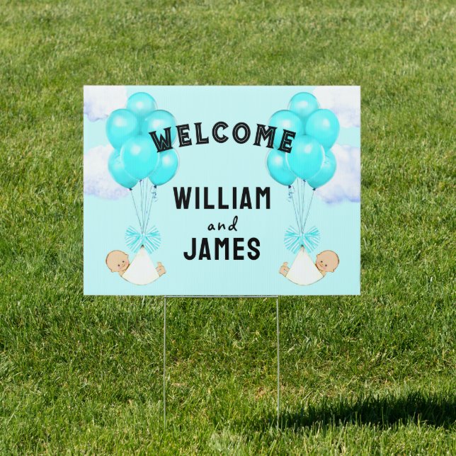 Baby Twin Boys Welcome Sign (Insitu)