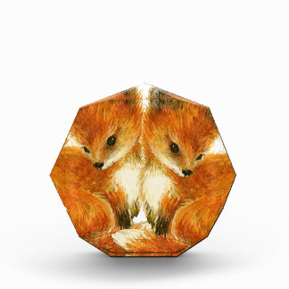 Baby Twin Foxes Award