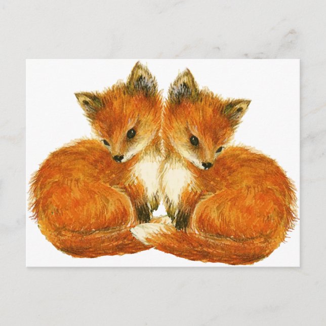 Baby Twin Foxes Postcard (Front)