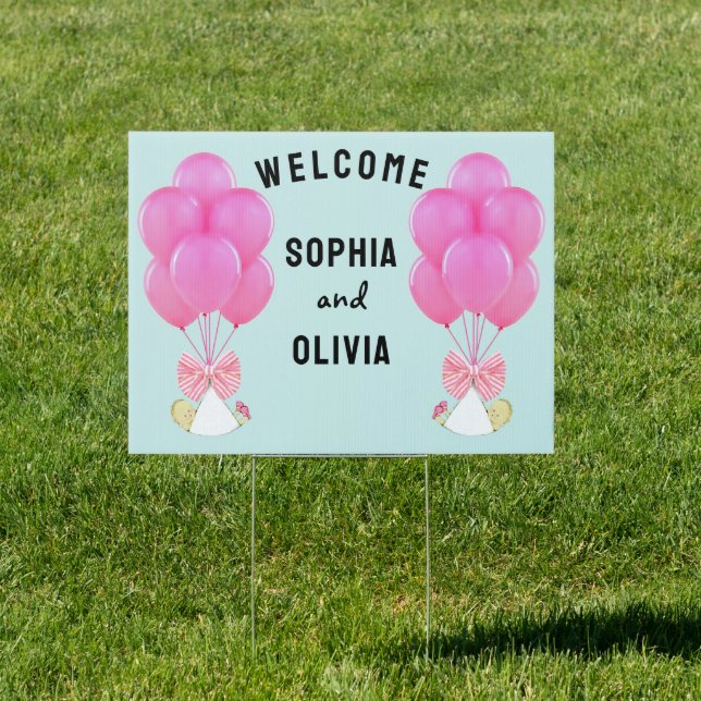 Baby Twin Girls Welcome Announcement Sign (Insitu)