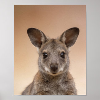 Baby Wallaby Portrait – Cute Nursery Animal Wall A Poster
