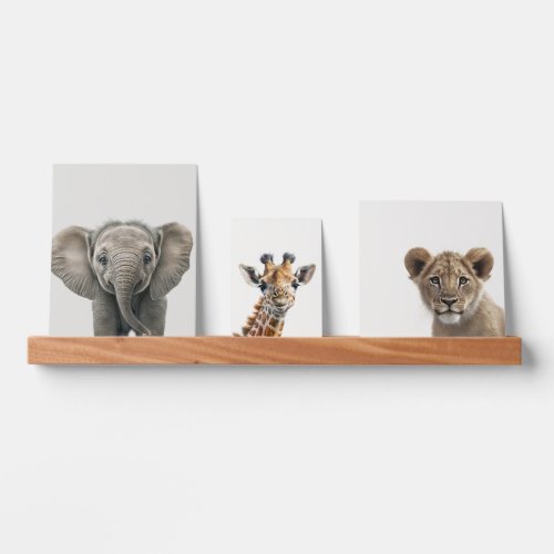  Baby Watercolor Animals Nursery Jungle Safari   Picture Ledge