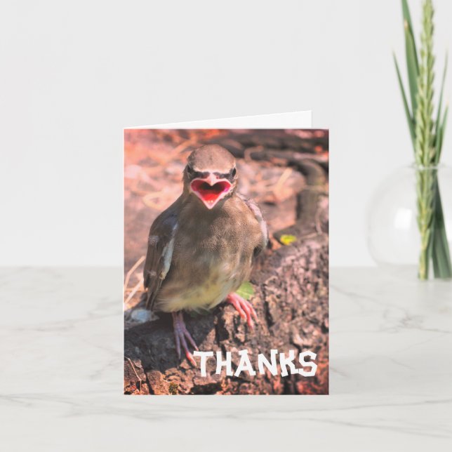 Baby Waxwing Bird Customizable Thank You Card (Front)