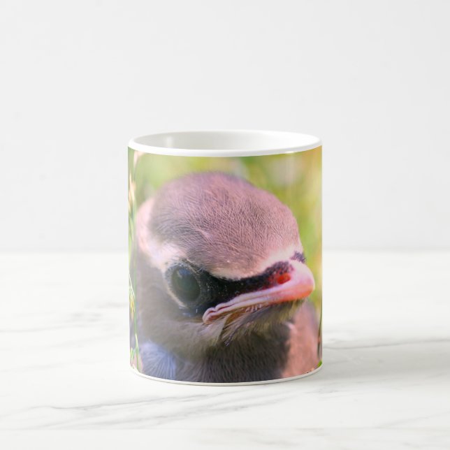 Baby Waxwing Bird Face Nature Personalized Coffee Mug (Center)