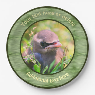 Baby Waxwing Bird Nature Personalized Party Paper Plates