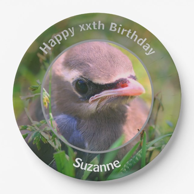 Baby Waxwing Bird Personalized Birthday Party Paper Plates (Front)