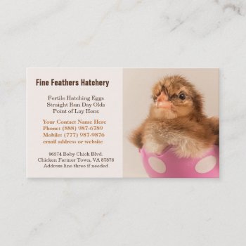 Baby Welsummer Chick In Egg Chicken Hatchery Business Card by CountryCorner at Zazzle