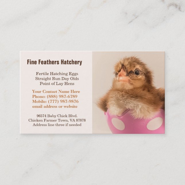 Baby Welsummer Chick in Egg Chicken Hatchery Business Card (Front)