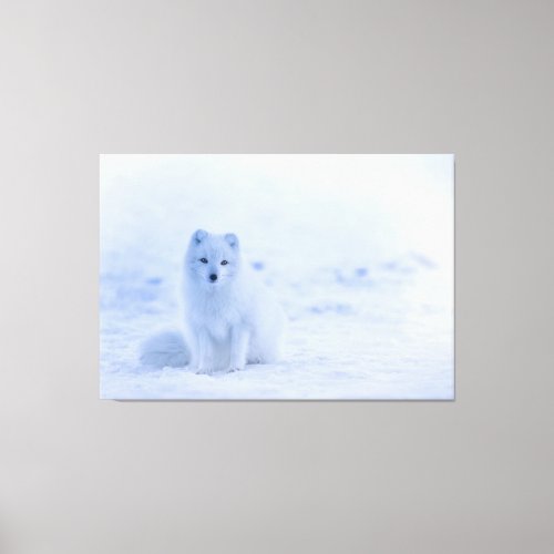 Baby White Artic Fox in Snow Canvas Print