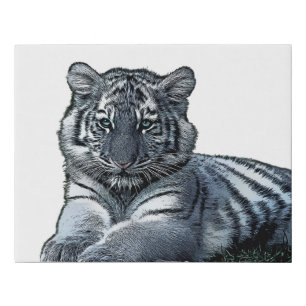 baby white baby tiger cub jungle safari animal art faux canvas print