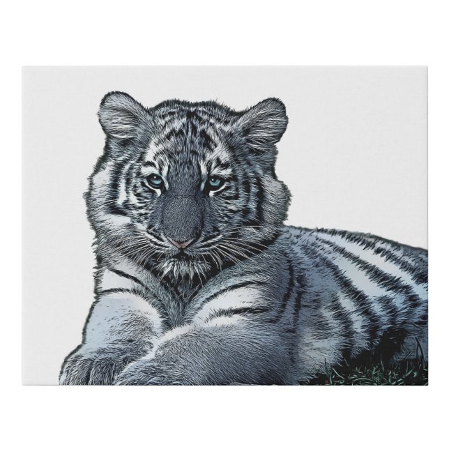 baby white baby tiger cub jungle safari animal art faux canvas print (Front)