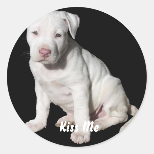 Baby White Pitbull Puppy Classic Round Sticker