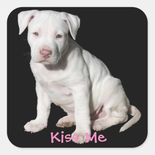 Baby White Pitbull Puppy Square Sticker
