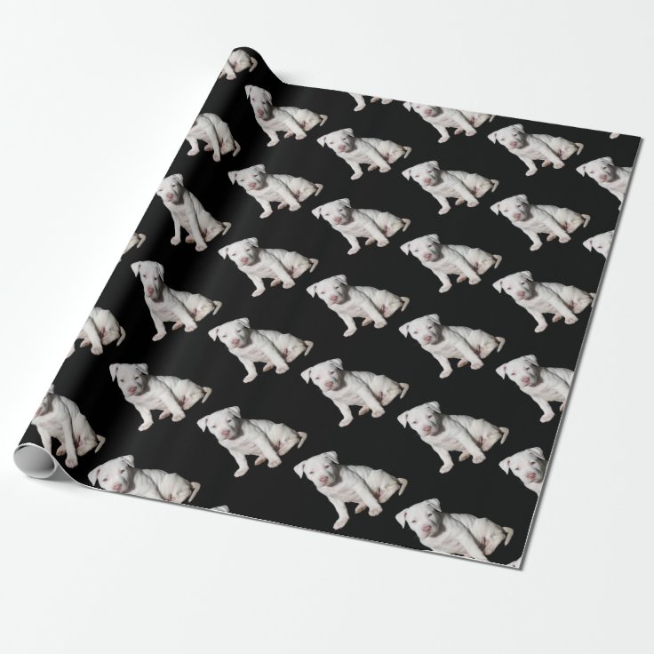 Baby White Pitbull Puppy Wrapping Paper Zazzle