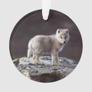 59+ Wolves Gifts on Zazzle
