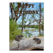 Baby Wombats Playing On A Log, Birthday (Front)
