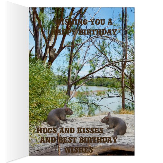 Baby Wombats Playing On A Log, Birthday (Inside (Right))