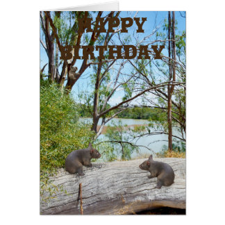 Baby Wombats Playing On A Log, Birthday Cards