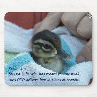 Baby Wood Duck Mouse Pad