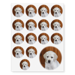 Baby Yellow Lab Temporary Tattoos