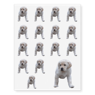 Baby Yellow Lab Temporary Tattoos