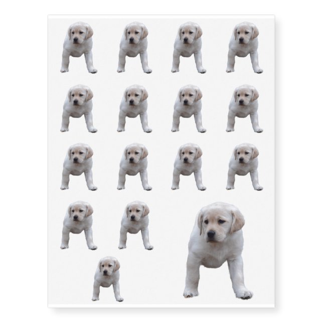Baby Yellow Lab Temporary Tattoos (Front)