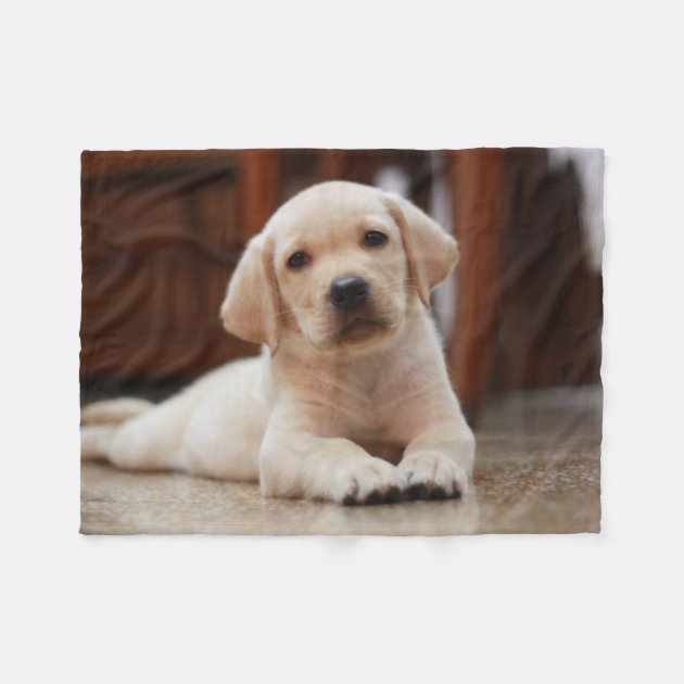 New Soft Labrador Retriever Fleece Throw Gift Blanket Puppy Dog Yellow Lab Lover 
