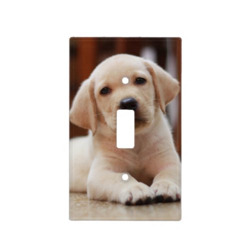 Baby Yellow Labrador Puppy Dog laying on Belly Light Switch Cover