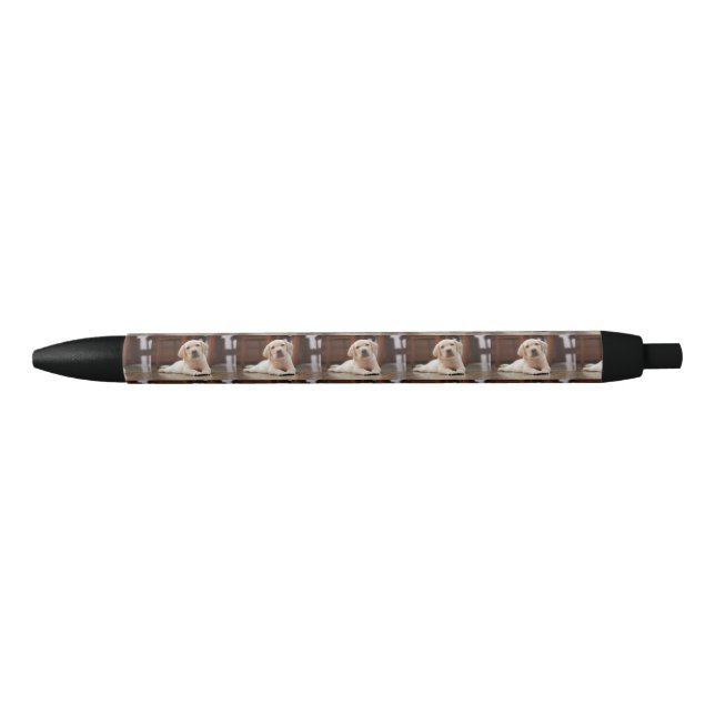 Baby Yellow Labrador Puppy Dog laying on Belly Pen (Front)