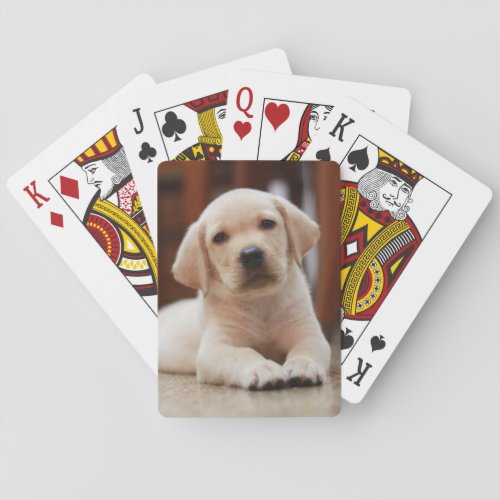 Baby Yellow Labrador Puppy Dog laying on Belly Poker Cards