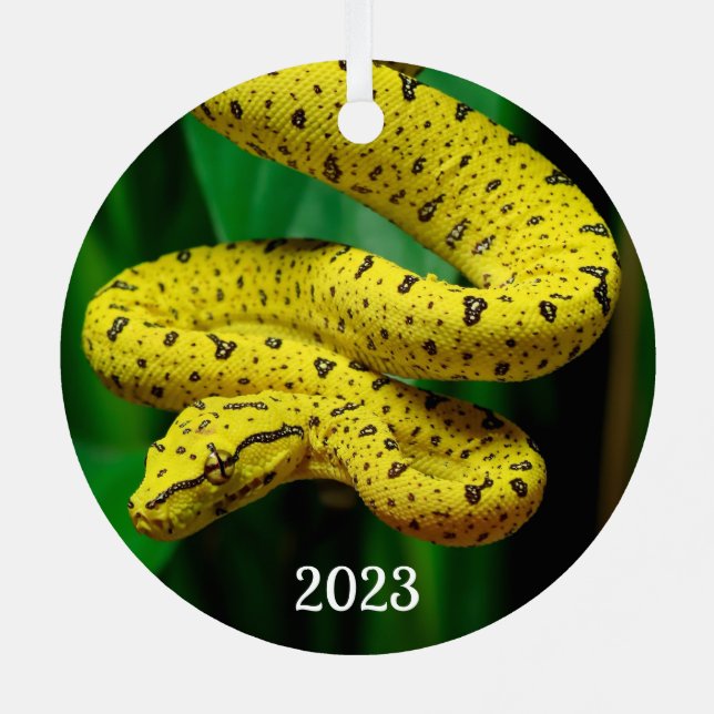 Baby Yellow Phase Green Tree Python Snake Metal Ornament (Back)
