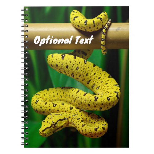 Baby Yellow Phase Green Tree Python Snake Notebook