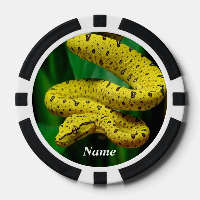 Baby Yellow Phase Green Tree Python Snake Poker Chips (Front)